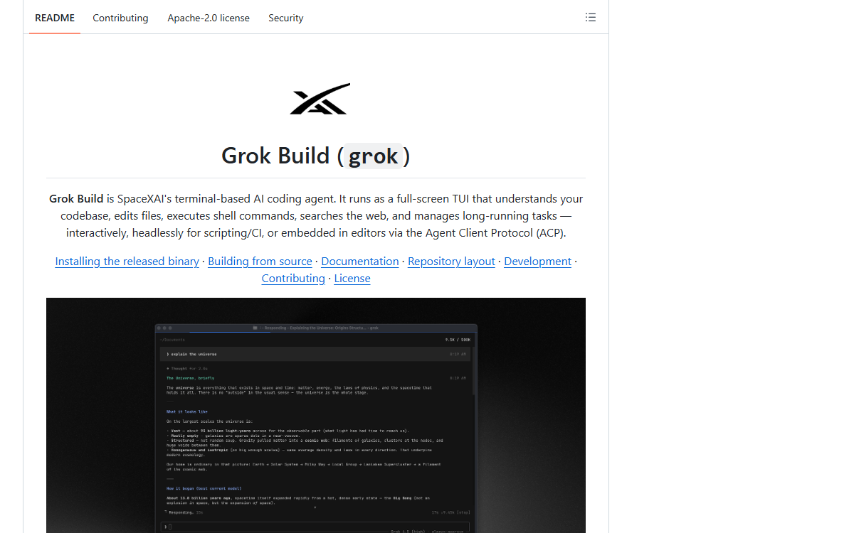 Screenshot of Grok Build